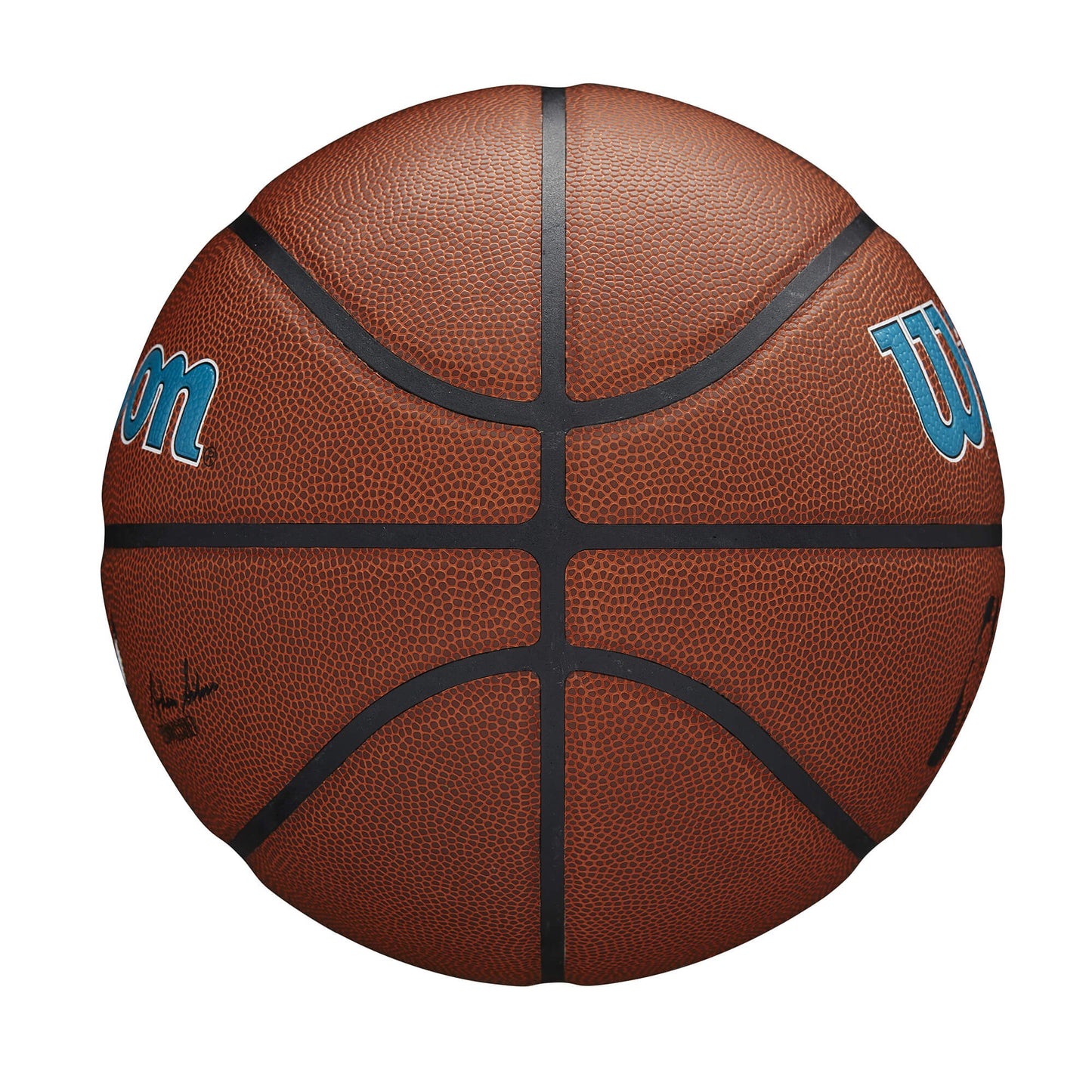 Basketbalová lopta Wilson NBA Team Alliance Composite Charlotte Hornets (veľkosť 7)