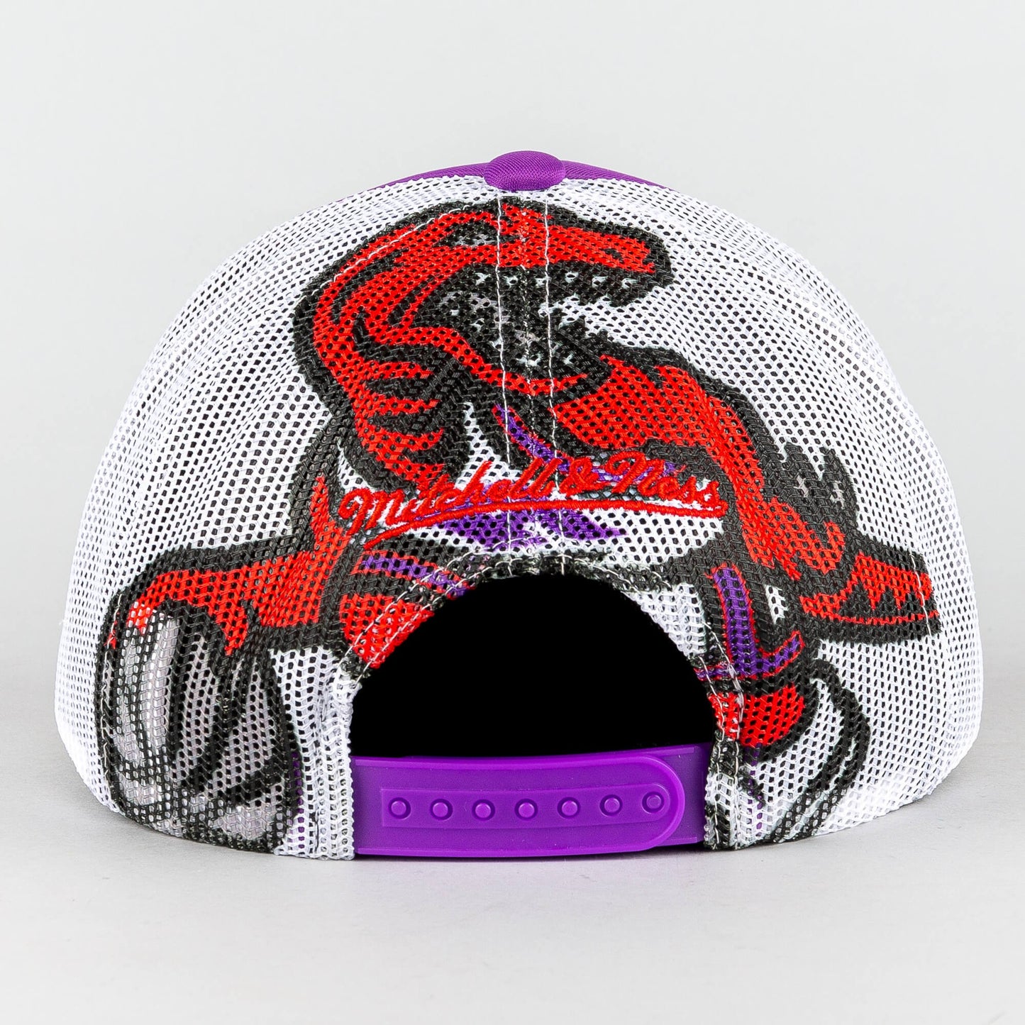 Mitchell & Ness OFF THE BACKBOARD TRUCKER HWC TORONTO RAPTORS Purple / White