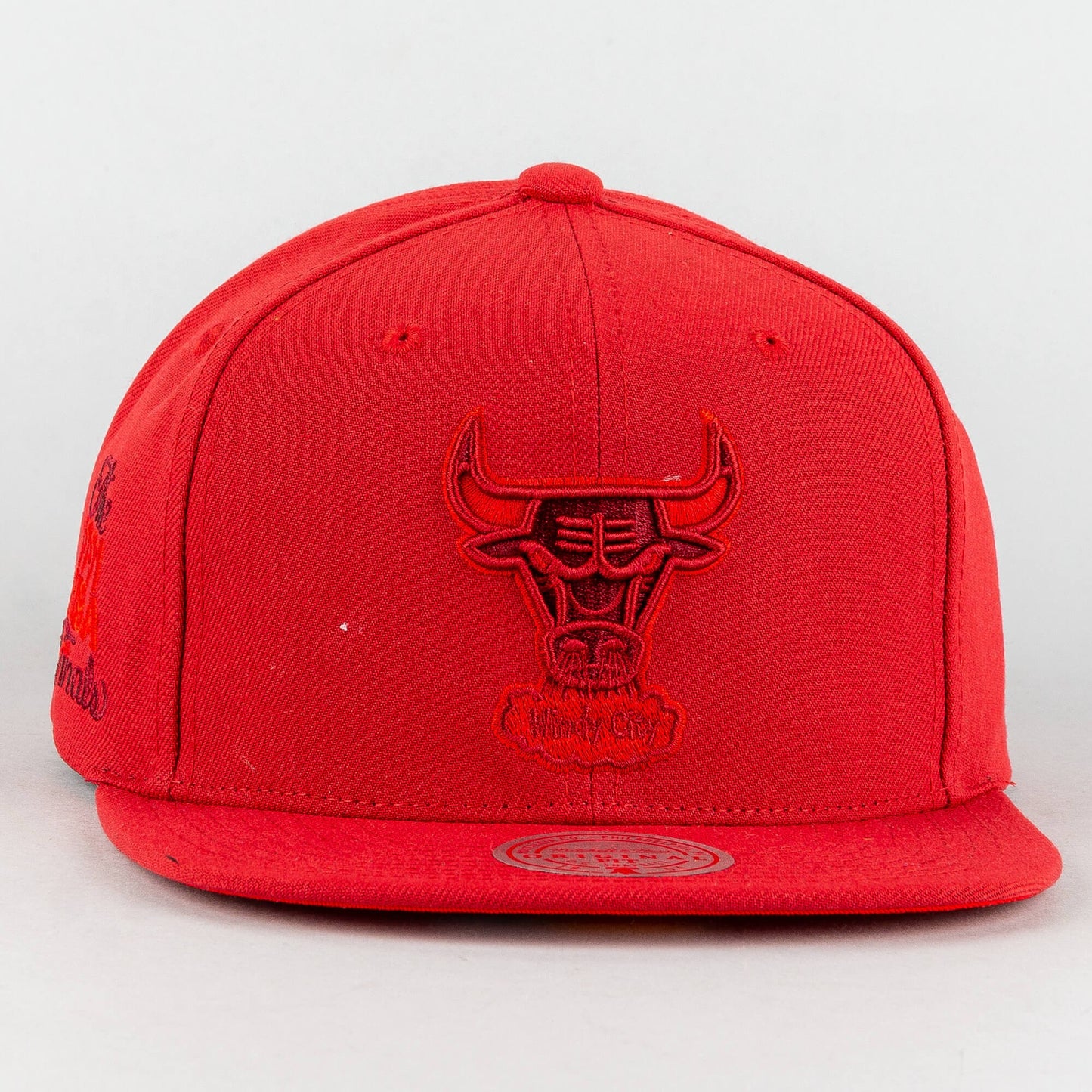 Mitchell & Ness MONOCHROMATIC SNAPBACK HWC CHICAGO BULLS RED