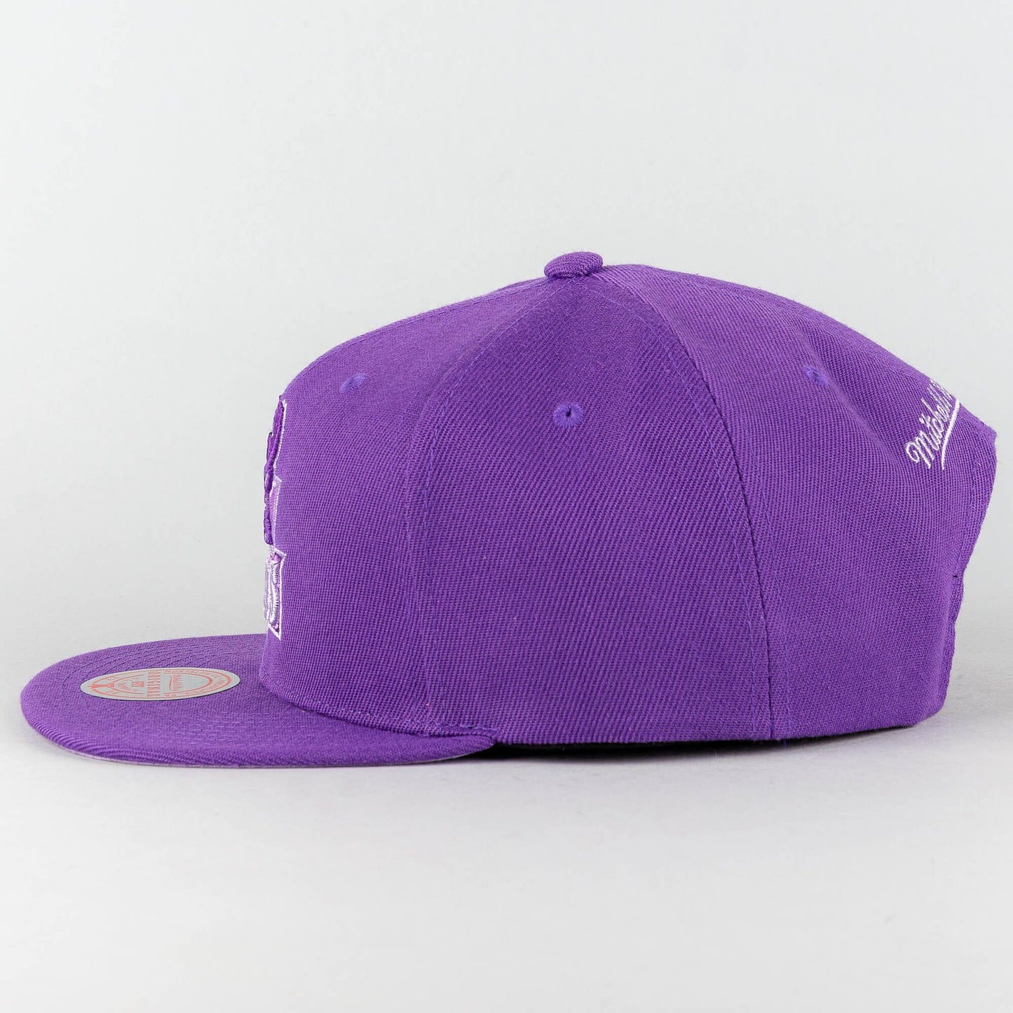 Mitchell & Ness MONOCHROMATIC SNAPBACK HWC MILWAUKEE BUCKS PURPLE