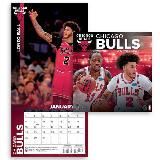 Chicago Bulls - NBA - 2023 (30x60 cm) Team Wall Calendar