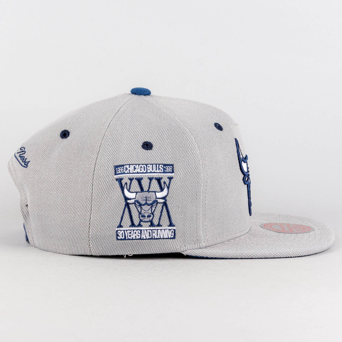 Mitchell & Ness The District Snapback Chicago Bulls Grey