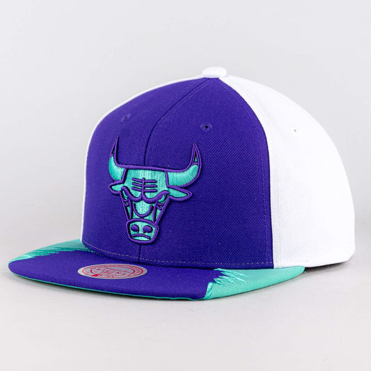 Mitchell & Ness Day 5 Snapback Chicago Bulls Purple