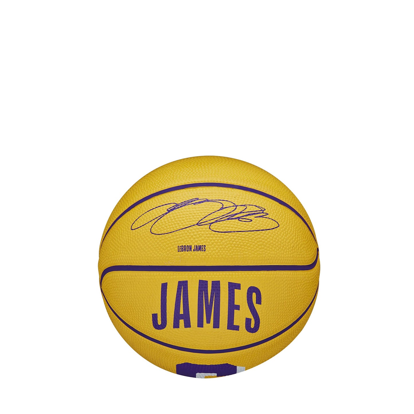 Wilson NBA Player Icon Mini Bskt. LeBron James (sz. 3) Yellow/Purple