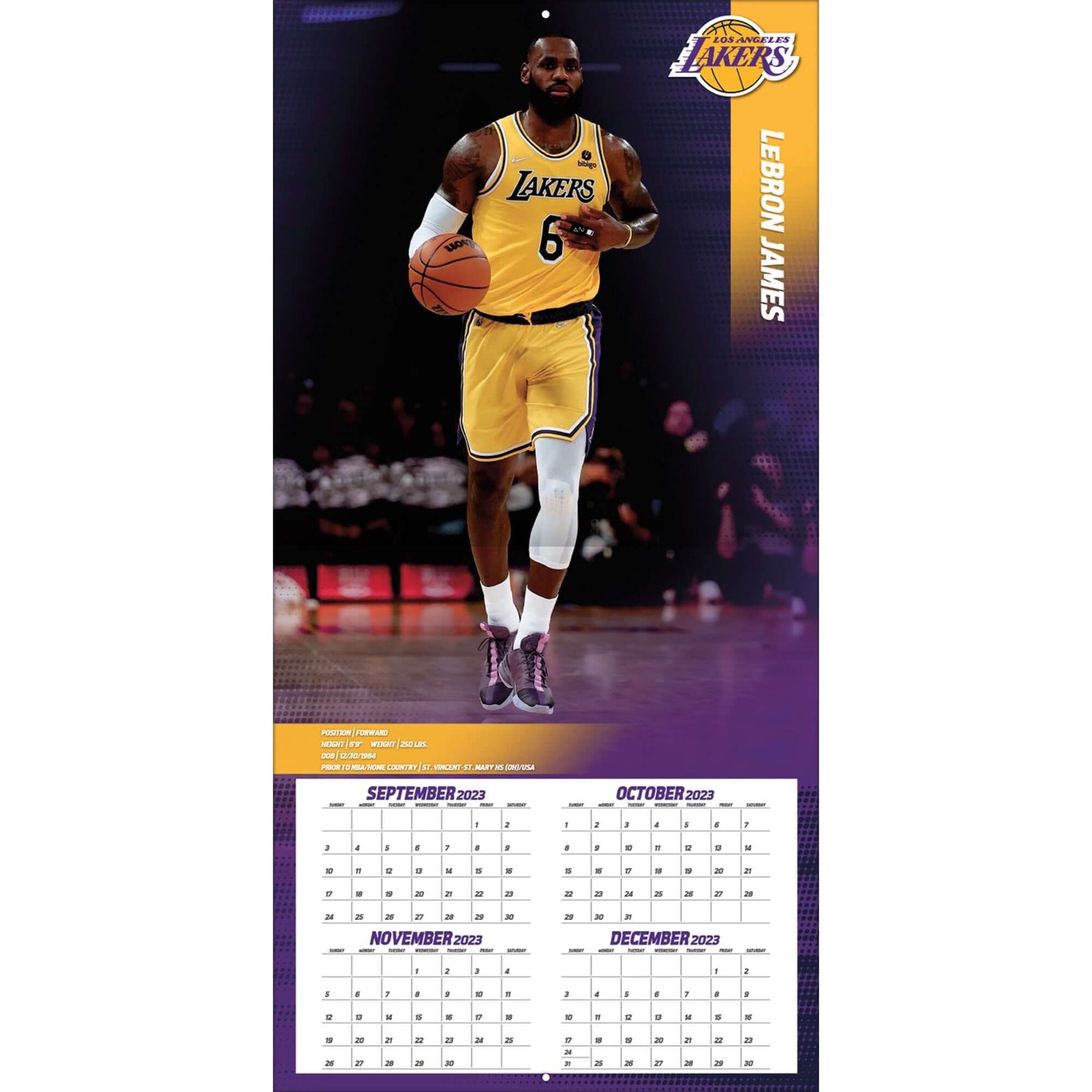 TURNER SPORTS NBA 2024 (30x60 cm) WALL CALENDAR LOS ANGELES LAKERS LEBRON JAMES