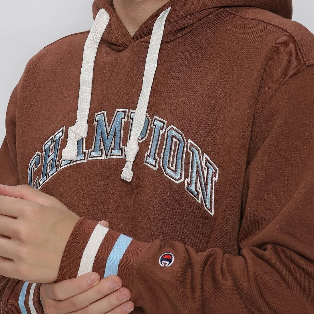 Champion Bookstore Hooded Sweatshirt Brown