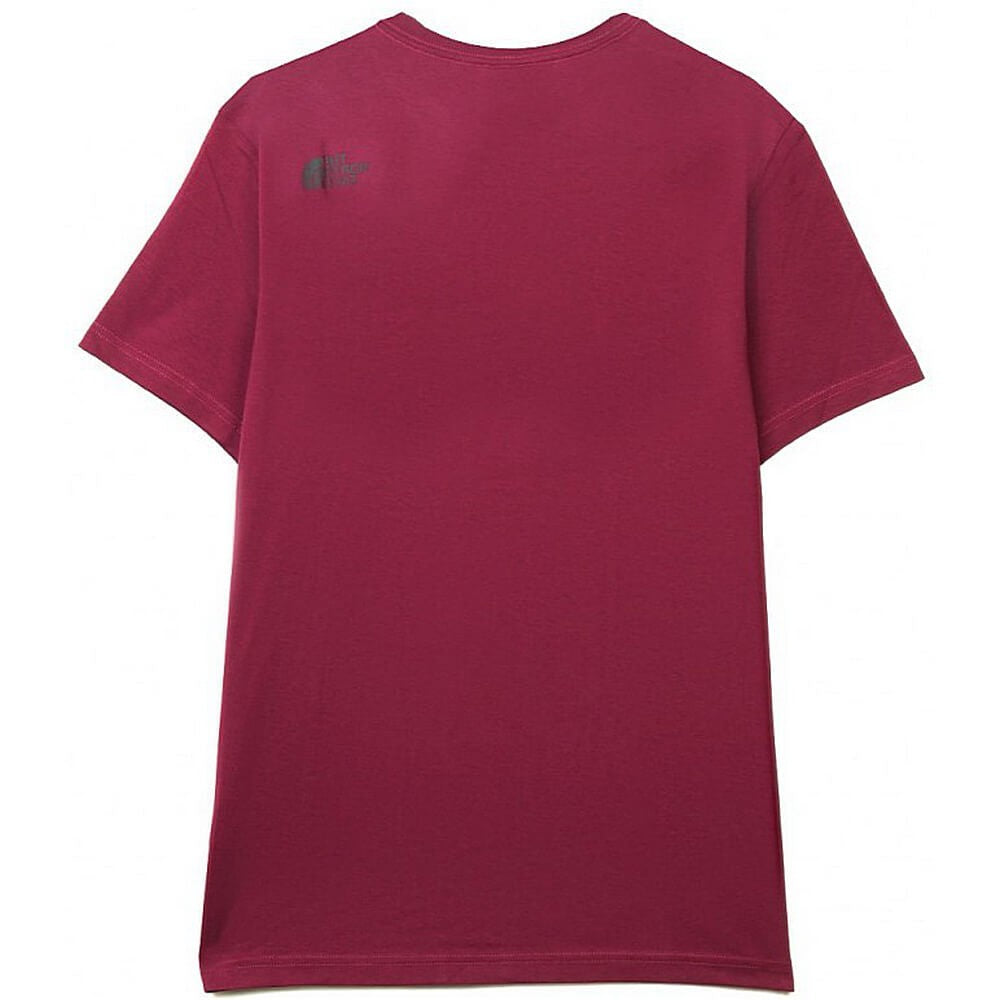 The North Face Men’S S/S Never Stop Exploring Tee - Boysenberry